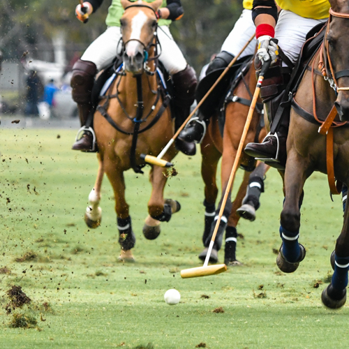 Polo